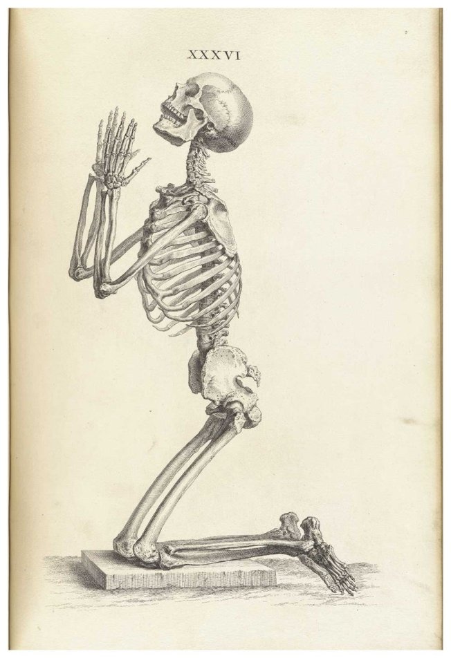Anatomy_skeletonprayer